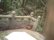 [20块钱公墓嫖妓系列]-很应清明节的作品大鸡哥在墓前啪啪黑丝卖淫女