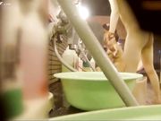 针孔摄像头偷拍某大学浴室美女学生洗澡身材很棒哦