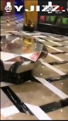 现在的主播花样真多在KTV里直播啪啪还叫粉丝刷礼物3