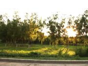 高颜值裸替女神演员沈樵醉酒女郎的激情诱惑 勾引网约车司机车震无套内射