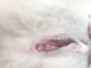 颜值还不错肤色很漂亮的美女主播来月经还和狼友神交舔鸡巴