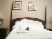 网约御姐型美女很骚很主动像情侣一样啪啪啪