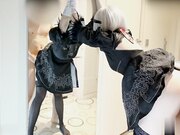 极限整备：性爱病毒入侵的2B