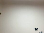 淫娃荡妇全程露脸激情啪啪大秀直播 玩的真刺激