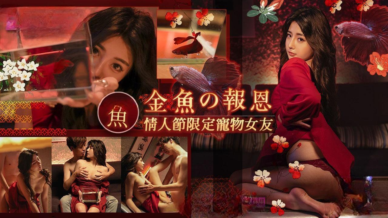 金鱼报恩》情人节限定宠物女友