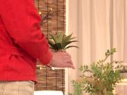 いただき女子かなチャン 由良佳奈1