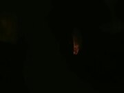 下海女教师户外车震 颜值不错真骚舔的鸡巴湿漉漉 看着外面有人在路边撒尿