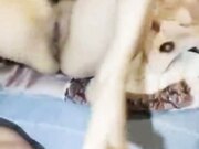 美乳翘臀风骚迷人让小哥无套插入好刺激