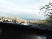 霸道总裁小娇妻_无套持续抽插蜜穴浪荡声响彻整个房间