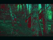 在森林中操我与男友亲密的大自然性爱之旅没有人烟的地方最适合露天性爱