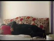 土豪哥高价钱上了个体型匀称 屁股性感的绝色外围女 太诱惑了 看的激情澎湃