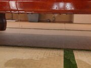 强韧意志在洗脑下崩溃失禁服从1