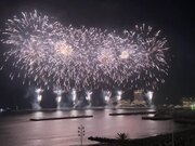 与粉穴小女友的浪漫性爱之夜