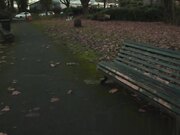 淫荡骚货勾引推拿师傅，小穴急需大肉棒滋润