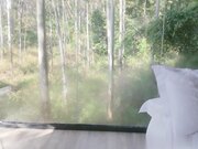 回归新作外面是森林里面是白衬衫炸开露巨乳掀裙直接光屁股