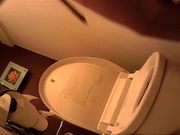 高级坐厕偷拍美眉逼美毛性感