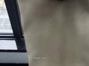 落地窗前猛干大屁股骚货