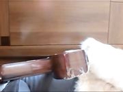 身材超棒饥渴秘书 假鸡巴放地上不稳 自己直接拿在手插