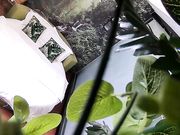 绿叶房没啥性经验的小伙被长发美眉撸硬鸡巴没搞多久就射了