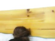 大奶白嫩美女主播抠逼摸奶自慰,屁股非常完美,主要是逼逼粉嫩