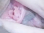 曾经是英语老师的少妇自慰大秀 带着眼镜很风骚