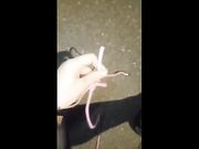 样子满可以的美女主播晚上没穿内裤在天桥玩露出摸逼期间有不少人路过