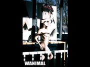 色影大师王动官方出品18年7月视图之冷艳の纹身 粉嫩美鲍 绝美酮体