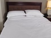 被剥削的大学女孩肛门克洛伊