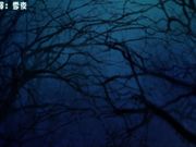 夜闯诡秘森林的白雪公主被狂虐