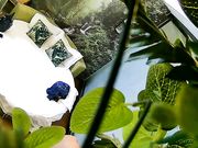 精品小旅馆偷拍短小眼镜小胖女友对他很满意完了还给他香吻