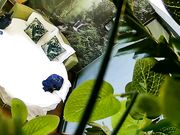 精品小旅馆偷拍短小眼镜小胖女友对他很满意完了还给他香吻