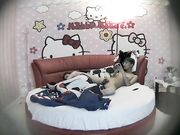 哈喽KT情趣房女友貌似很饥渴还没有脱好就把他按倒鸡巴吃得很有味