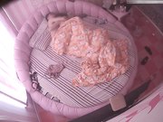 小旅馆情趣圆床偷拍中年男女男的一边搞一边看手机里的AV女的上位摇得很卖力