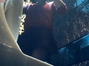 岛国盗拍网站最新流出夜总会女厕偷拍小姐们站着嘘嘘的大美腚