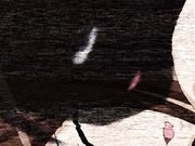 (18禁アニメ) [サン出版] 15美少女漂流記 OVA2 ～どきどき ハーレム編～ (DVD 1280x72