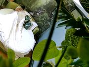 自然钟点房饥渴马尾小少妇与四眼男偷情进屋就热吻洗干净床上各种大战激情四射少妇淫叫喘息声是亮点猛干少妇很满足