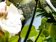 自然钟点房饥渴马尾小少妇与四眼男偷情进屋就热吻洗干净床上各种大战激情四射少妇淫叫喘息声是亮点猛干少妇很满足