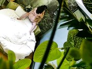 自然钟点房饥渴马尾小少妇与四眼男偷情进屋就热吻洗干净床上各种大战激情四射少妇淫叫喘息声是亮点猛干少妇很满足