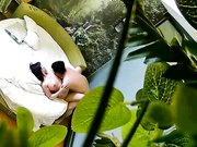 自然钟点房饥渴马尾小少妇与四眼男偷情进屋就热吻洗干净床上各种大战激情四射少妇淫叫喘息声是亮点猛干少妇很满足