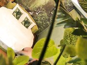 自然房打扮挺潮有点拽的大奶美眉与饥渴小胖开房约炮开始有点矜持等干上了比谁都浪女上位坐个不停操完穿衣就走