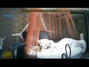 乳房大颜值不错很有生活气息让人超有感觉