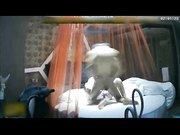 乳房大颜值不错很有生活气息让人超有感觉