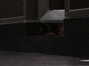 咖啡厅潜入女厕偷拍漂亮妹子