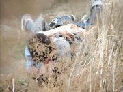 网曝不雅门事件西安桃花潭公园两学生情侣荒草掩护席地野战