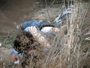 网曝不雅门事件西安桃花潭公园两学生情侣荒草掩护席地野战