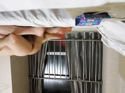 【兄妹乱伦】表哥趁没人和表妹家中乱伦啪啪