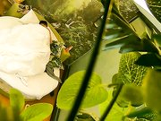 大奶美眉与饥渴小胖开房约炮女上位坐个不停操