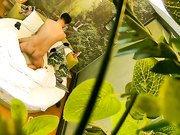 大奶美眉与饥渴小胖开房约炮女上位坐个不停操