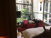 某小区公寓离异富姐和两个彪悍的黑人3P大战