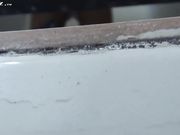 [国产小便偷拍合集]-潜入艺术学院女厕偷拍第13季妹子的裤子很潮啊骷髅头